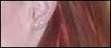 Divas tatoos and pirecings - j in ureche 2 k me:D:D:D:D:D(lita) - Media Dive