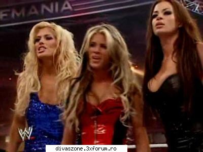 POzee Cu dive in grup - wrestlemania 23:d - Media Dive